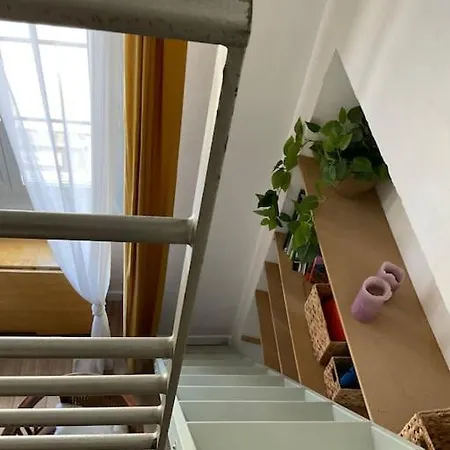 Studio Duplex Centre Bastia * Bastia (Corsica)